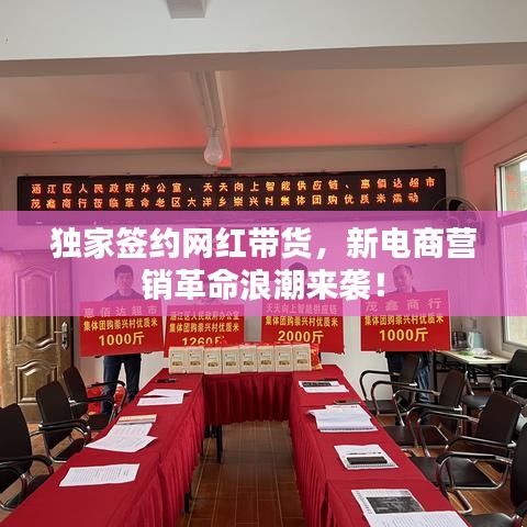 独家签约网红带货,新电商营销革命浪潮来袭!