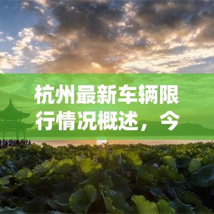 杭州最新车辆限行情况概述，今日是否限行？