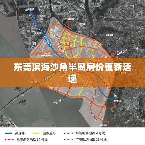 东莞滨海沙角半岛房价更新速递