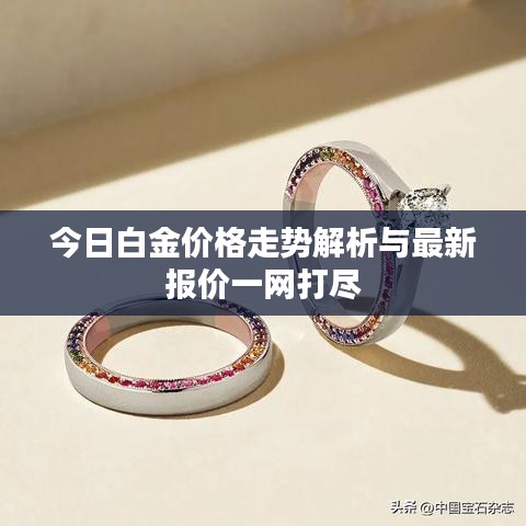 今日白金价格走势解析与最新报价一网打尽