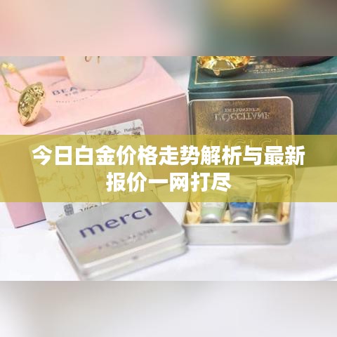 今日白金价格走势解析与最新报价一网打尽