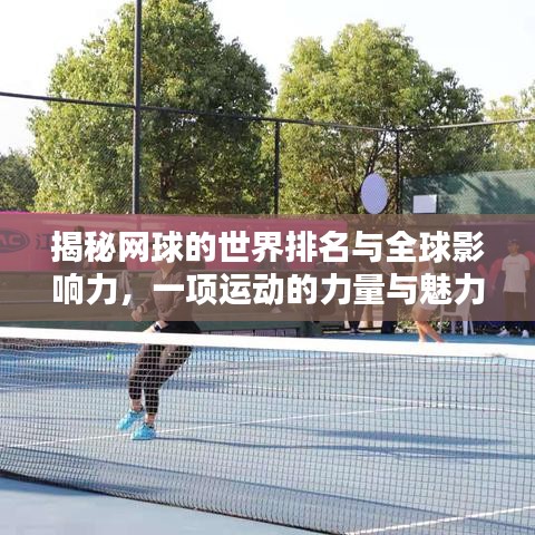 揭秘网球的世界排名与全球影响力，一项运动的力量与魅力