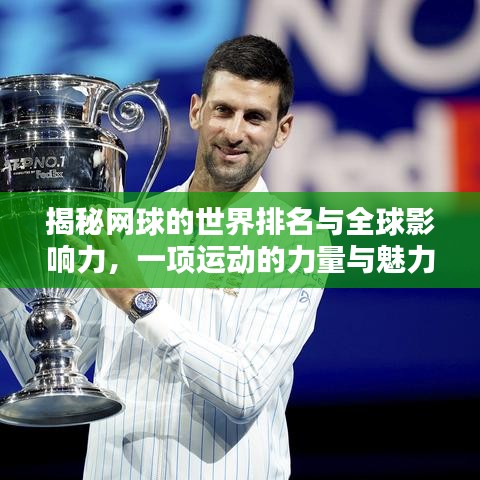 揭秘网球的世界排名与全球影响力,一项运动的力量与魅力