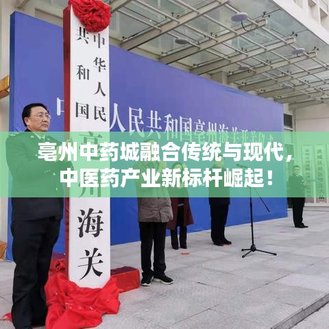 亳州中药城融合传统与现代,中医药产业新标杆崛起!