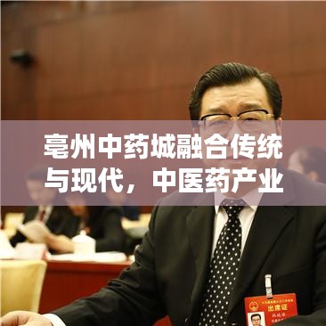 亳州中药城融合传统与现代,中医药产业新标杆崛起!