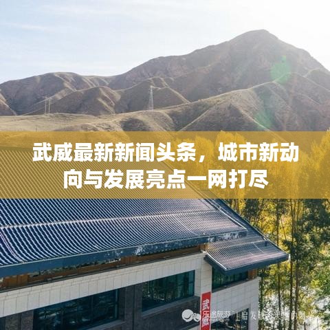 武威最新新闻头条，城市新动向与发展亮点一网打尽