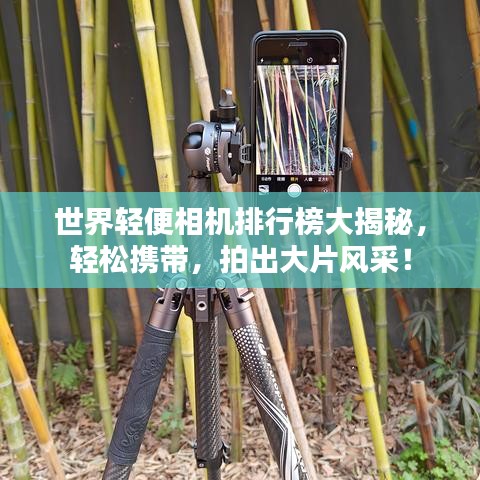 世界轻便相机排行榜大揭秘，轻松携带，拍出大片风采！