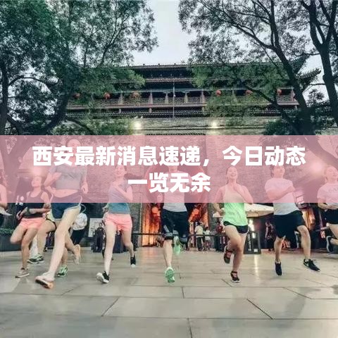西安最新消息速递，今日动态一览无余