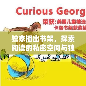 独家播出书架，探索阅读的私密空间与独特魅力的探索之旅