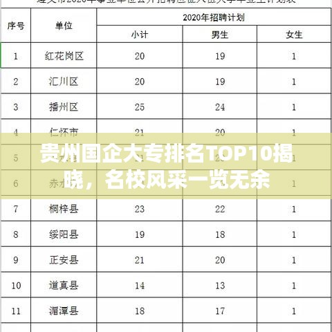 贵州国企大专排名TOP10揭晓,名校风采一览无余