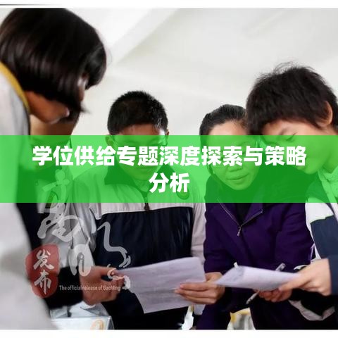 学位供给专题深度探索与策略分析