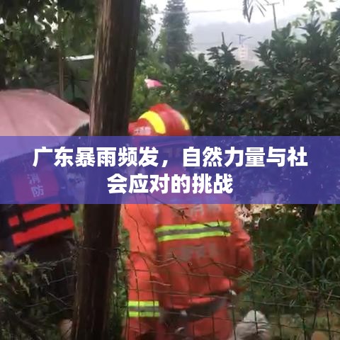 广东暴雨频发，自然力量与社会应对的挑战