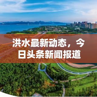 洪水最新动态,今日头条新闻报道暴雨洪涝灾害情况