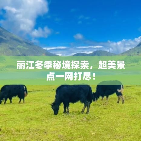 丽江冬季秘境探索,超美景点一网打尽!