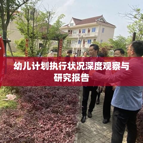 幼儿计划执行状况深度观察与研究报告