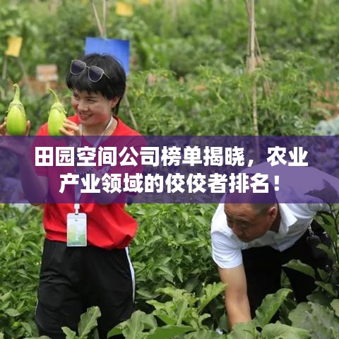 田园空间公司榜单揭晓，农业产业领域的佼佼者排名！