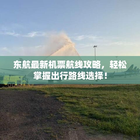东航最新机票航线攻略，轻松掌握出行路线选择！