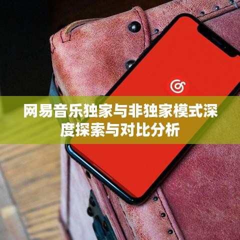 网易音乐独家与非独家模式深度探索与对比分析