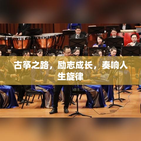 古筝之路，励志成长，奏响人生旋律