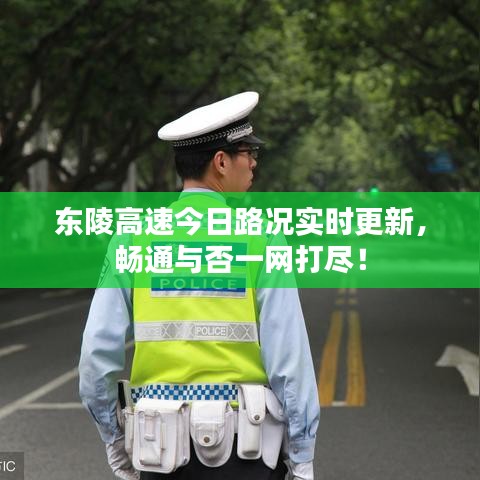 东陵高速今日路况实时更新，畅通与否一网打尽！