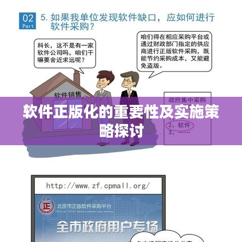 软件正版化的重要性及实施策略探讨