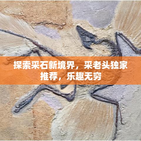 探索采石新境界，采老头独家推荐，乐趣无穷