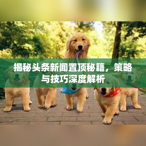 揭秘头条新闻置顶秘籍，策略与技巧深度解析