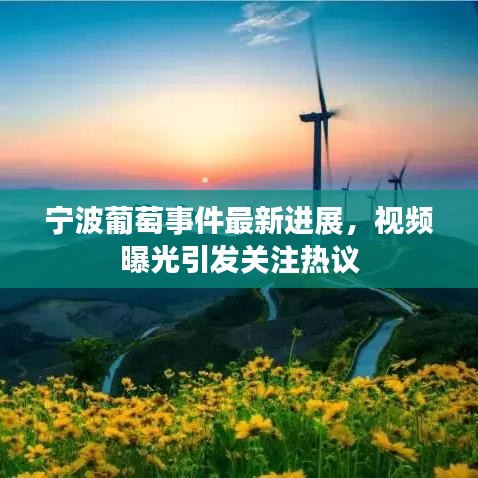 宁波葡萄事件最新进展，视频曝光引发关注热议