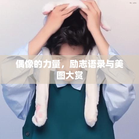 偶像的力量,励志语录与美图大赏