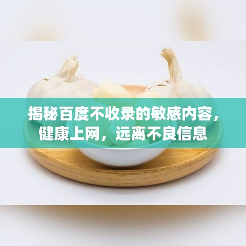 揭秘百度不收录的敏感内容,健康上网,远离不良信息