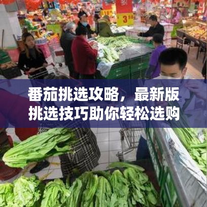 番茄挑选攻略，最新版挑选技巧助你轻松选购美味番茄！