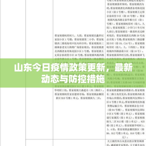 山东今日疫情政策更新，最新动态与防控措施