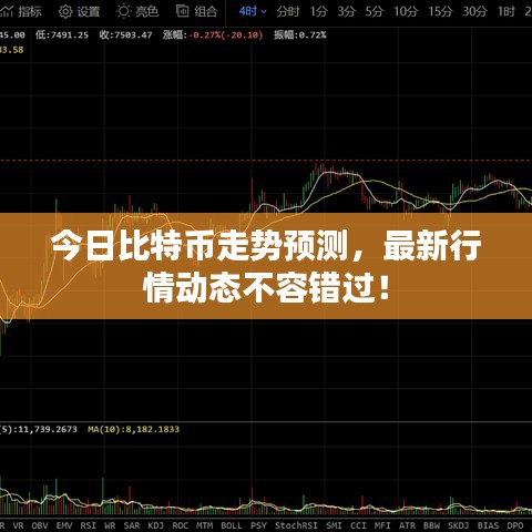 今日比特币走势预测,最新行情动态不容错过!
