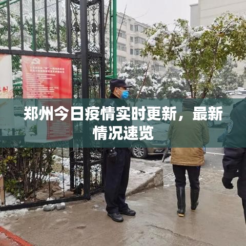 郑州今日疫情实时更新,最新情况速览