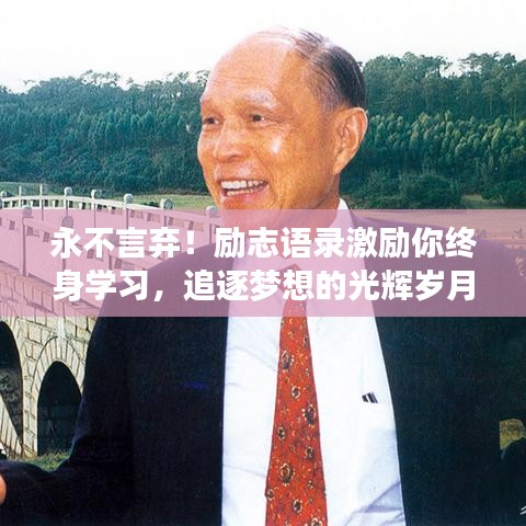 永不言弃!励志语录激励你终身学习,追逐梦想的光辉岁月