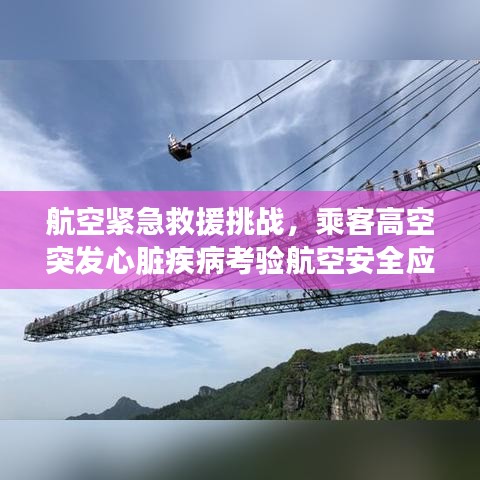航空紧急救援挑战,乘客高空突发心脏疾病考验航空安全应对能力