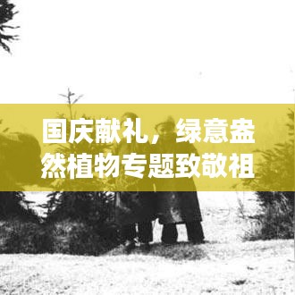 国庆献礼,绿意盎然植物专题致敬祖国!