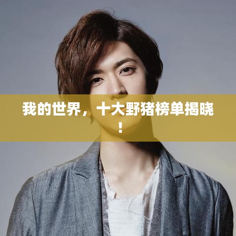 我的世界,十大野猪榜单揭晓!