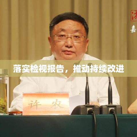 落实检视报告，推动持续改进