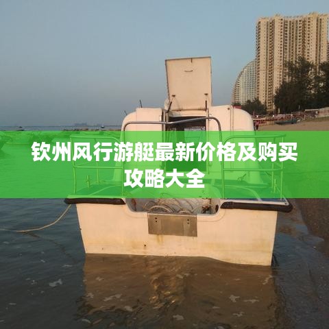 钦州风行游艇最新价格及购买攻略大全