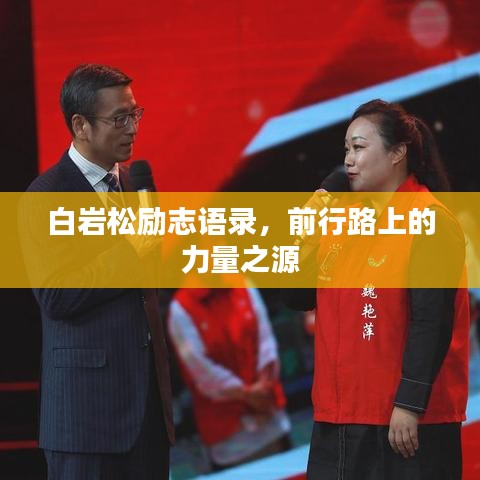 白岩松励志语录，前行路上的力量之源