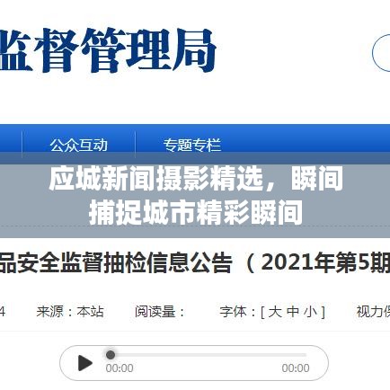 应城新闻摄影精选，瞬间捕捉城市精彩瞬间