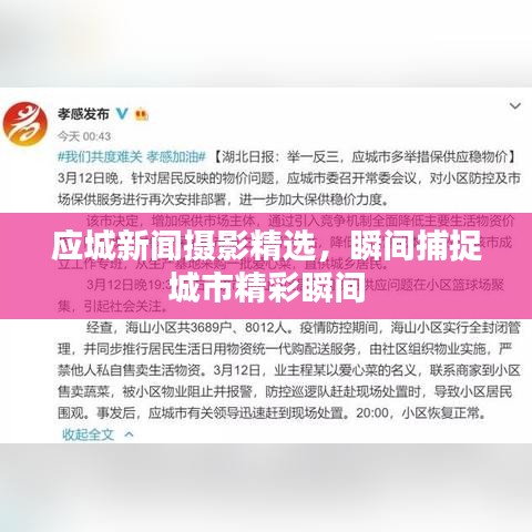 应城新闻摄影精选,瞬间捕捉城市精彩瞬间
