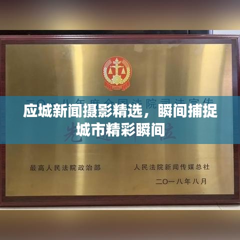 应城新闻摄影精选,瞬间捕捉城市精彩瞬间