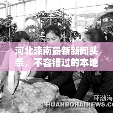 河北滦南最新新闻头条,不容错过的本地资讯!