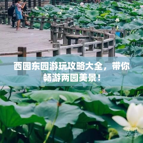 西园东园游玩攻略大全,带你畅游两园美景!