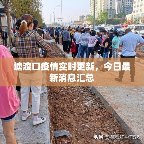 塘渡口疫情实时更新,今日最新消息汇总