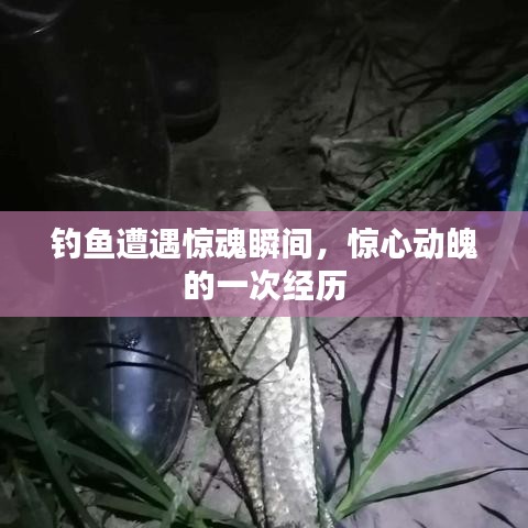 钓鱼遭遇惊魂瞬间,惊心动魄的一次经历