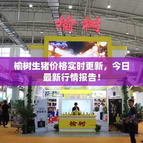榆树生猪价格实时更新,今日最新行情报告!