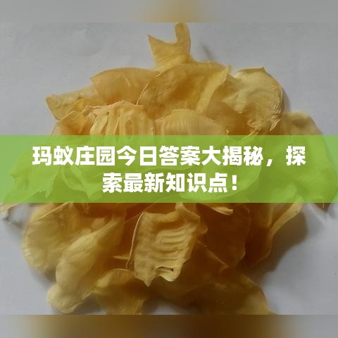 玛蚁庄园今日答案大揭秘，探索最新知识点！